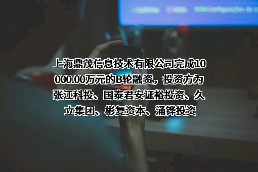 上海鼎茂信息技术有限公司