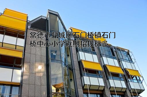 常德市鼎城区石门桥镇石门桥中心小学近期招投标项目多