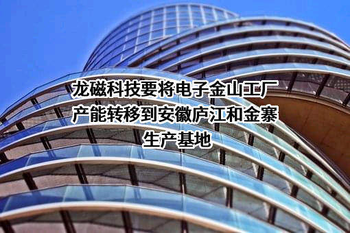安徽龙磁科技股份有限公司