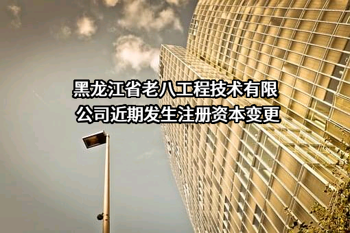 黑龙江省老八工程技术有限公司