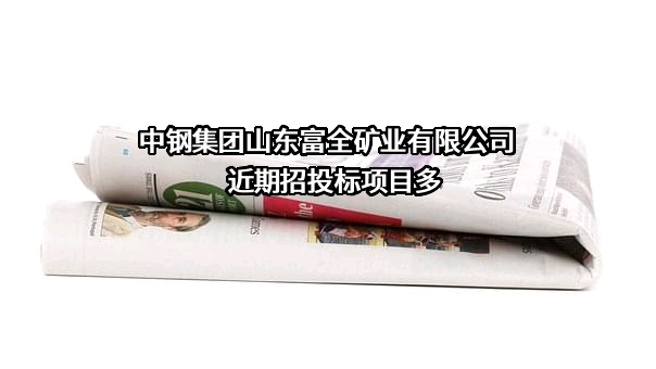 中钢集团山东富全矿业有限公司