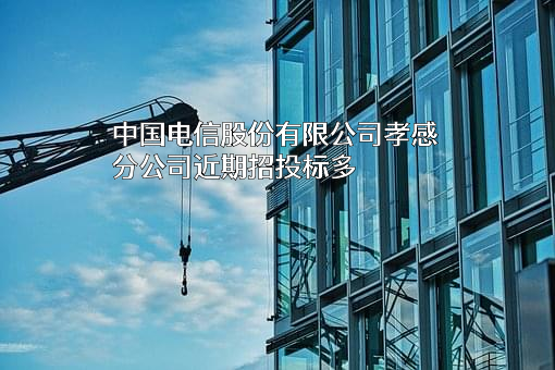 中国电信股份有限公司孝感分公司