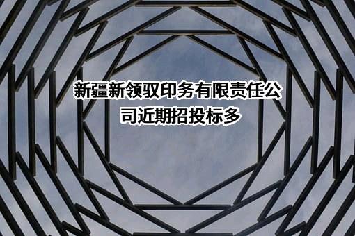 新疆新领驭印务有限责任公司