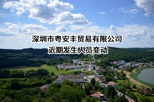 深圳市粤安丰贸易有限公司