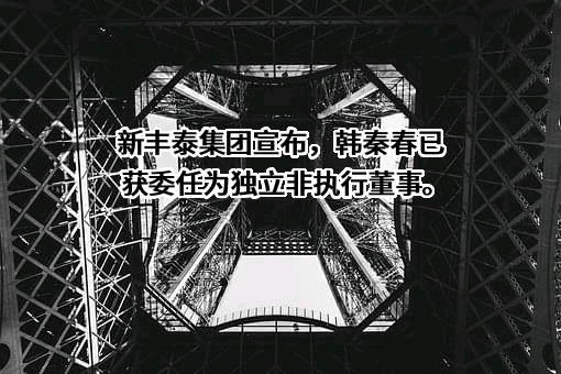 新丰泰集团控股有限公司