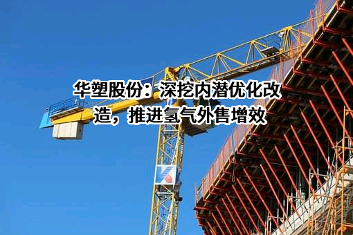 安徽华塑股份有限公司