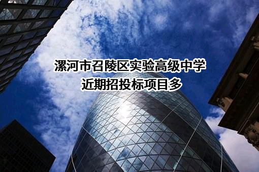 漯河市召陵区实验高级中学