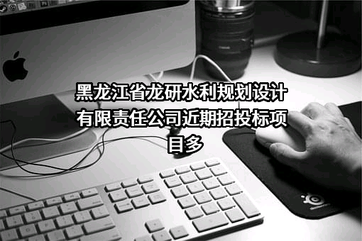 黑龙江省龙研水利规划设计有限责任公司