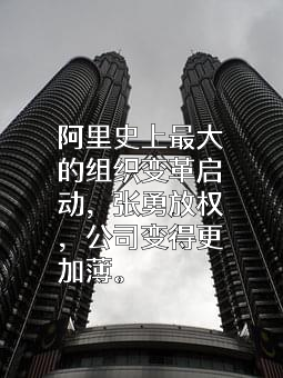 阿里巴巴集团控股有限公司