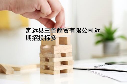 定远县三叁商贸有限公司