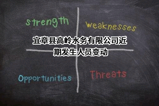 宜章县高岭水务有限公司