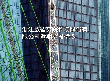 浙江数智交院科技股份有限公司
