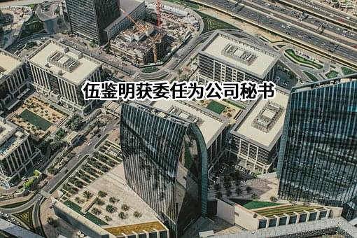 中国艺术金融控股有限公司