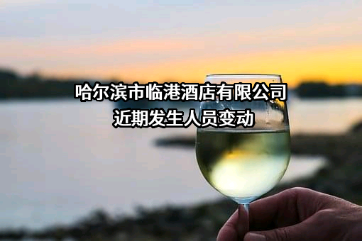 哈尔滨市临港酒店有限公司