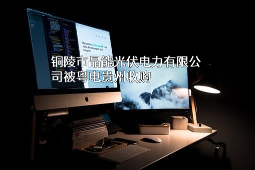 铜陵市晶能光伏电力有限公司