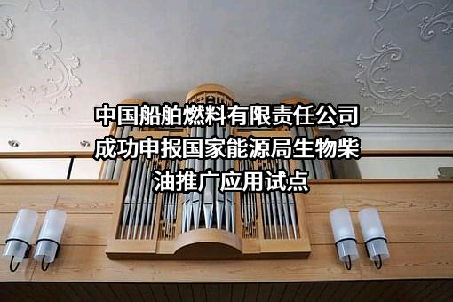 中国船舶燃料有限责任公司