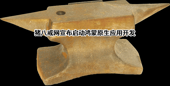 华为技术有限公司