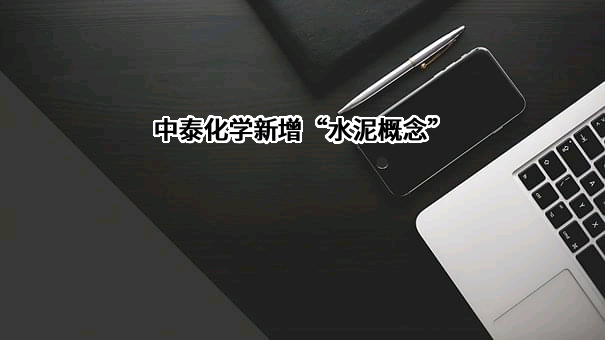 新疆中泰化学股份有限公司
