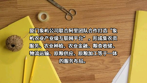 厦门象屿物流集团有限责任公司