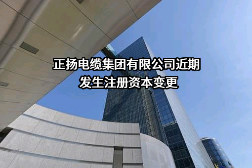正扬电缆集团有限公司