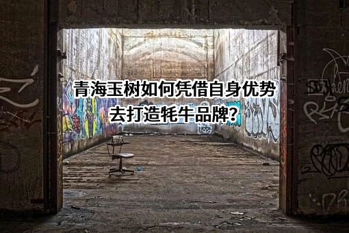 中国农业电影电视中心
