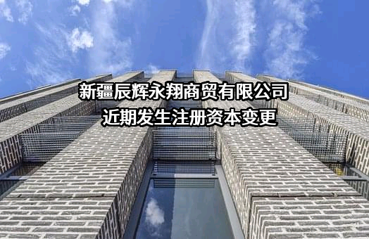 新疆辰辉永翔商贸有限公司