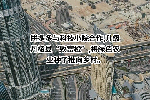 上海寻梦信息技术有限公司