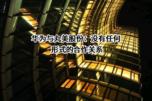 华为技术有限公司