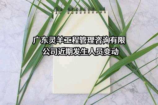 广东灵羊工程管理咨询有限公司