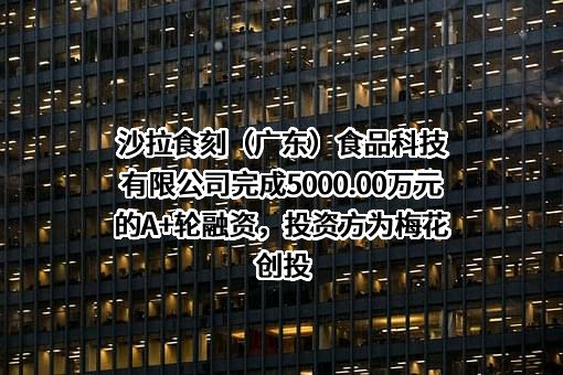 沙拉食刻（广东）食品科技有限公司完成5000.00万元的A+轮融资，投资方为梅花创投