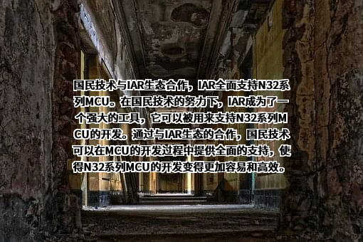 国民技术股份有限公司