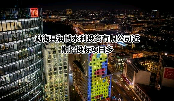 勐海县润博水利投资有限公司