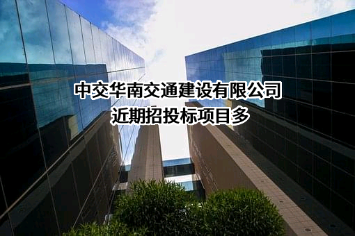 中交华南交通建设有限公司