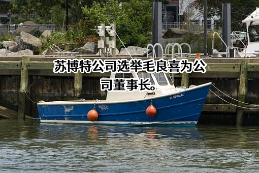 江苏苏博特新材料股份有限公司