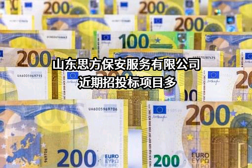 山东思方保安服务有限公司