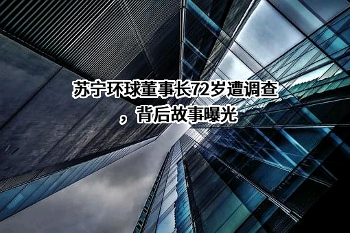 苏宁易购集团股份有限公司