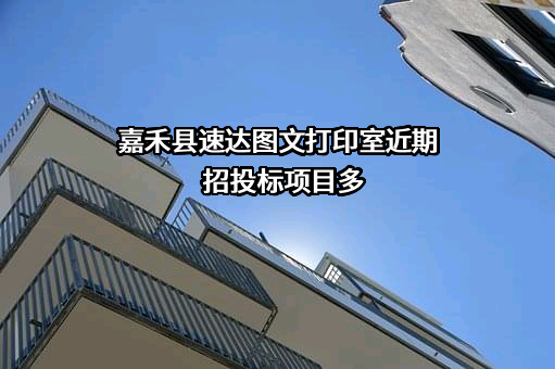 嘉禾县速达图文打印室近期招投标项目多