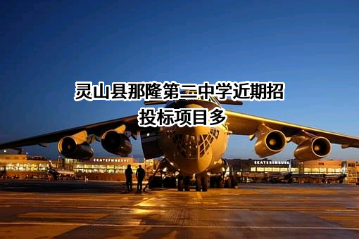 灵山县那隆第二中学