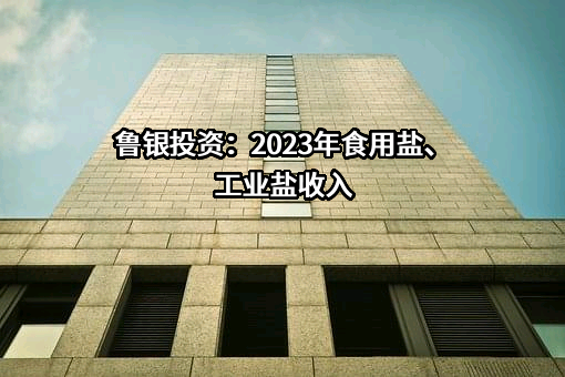 鲁银投资集团股份有限公司