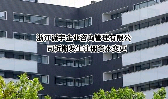 浙江诚宇企业咨询管理有限公司