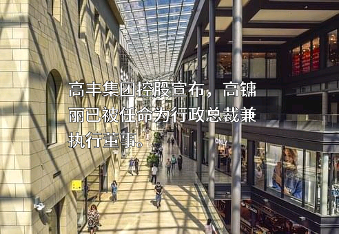 高丰集团控股有限公司