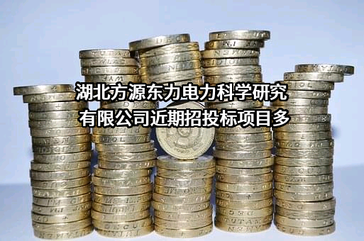 湖北方源东力电力科学研究有限公司近期招投标项目多