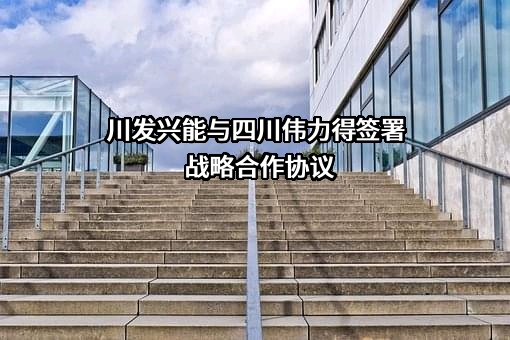 四川伟力得能源股份有限公司