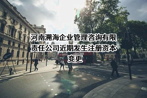 河南溯海企业管理咨询有限责任公司