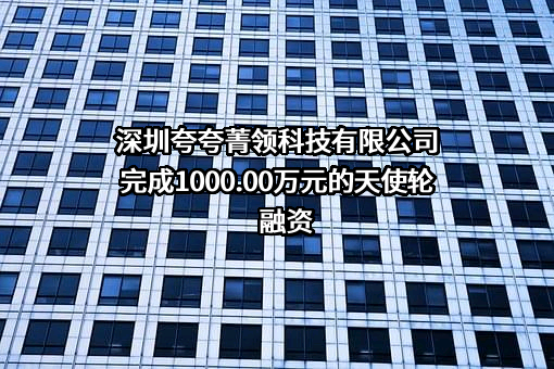 深圳夸夸菁领科技有限公司完成1000.00万元的天使轮融资