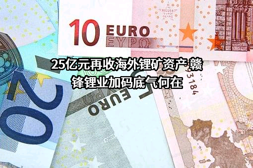 25亿元再收海外锂矿资产 赣锋锂业加码底气何在