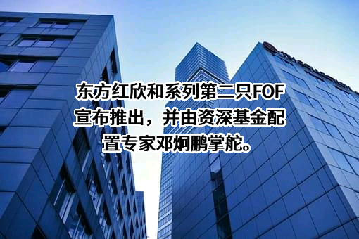 天津东方红商贸有限公司