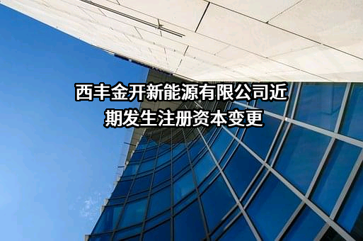 西丰金开新能源有限公司