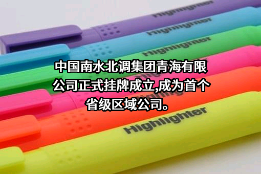 中国南水北调集团青海有限公司