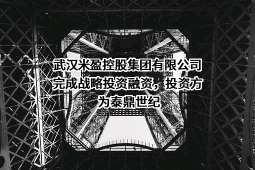 武汉米盈控股集团有限公司